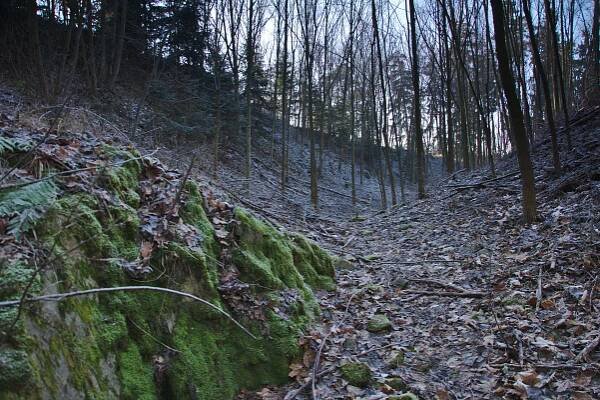 Soubor:Zřícenina hradu Doubravice nad Svitavou, okres Blansko (03).jpg