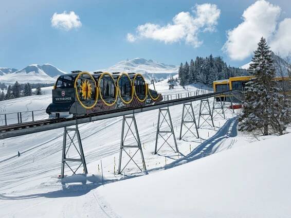 Jízdenka na Stoosbahn ze Schwytz