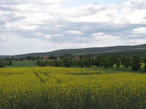 Soubor:Nové Dvory (Lážovice), pole.jpg