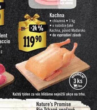 Albert Kachna nabídka