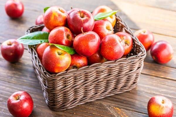 Red Apple Basket