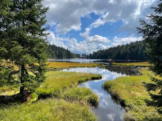 Jezero Šumava