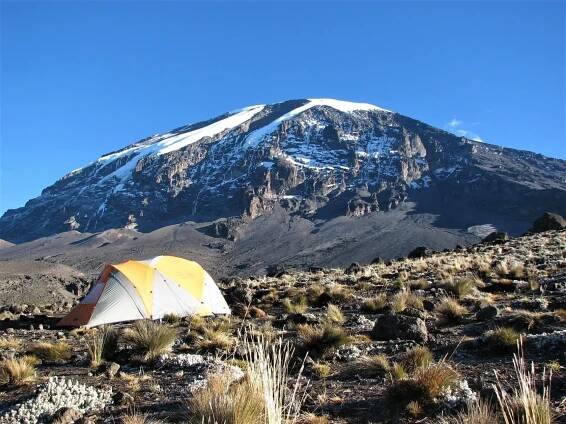 Group Trekking Kilimanjaro