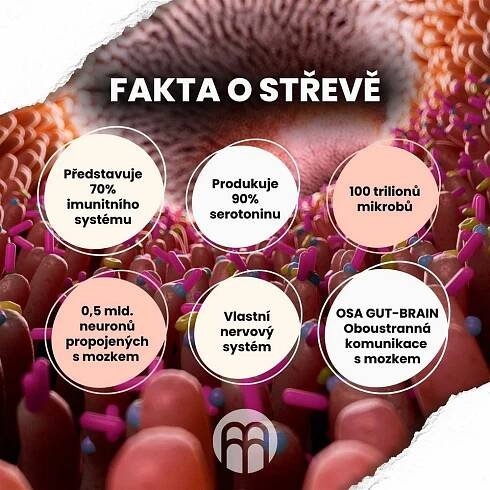 Homeopatické léky na imunitu: Jak posílit svůj imunitní systém přirozenou cestou - Srpen 2025 - LaskaVezrozeni.CZ