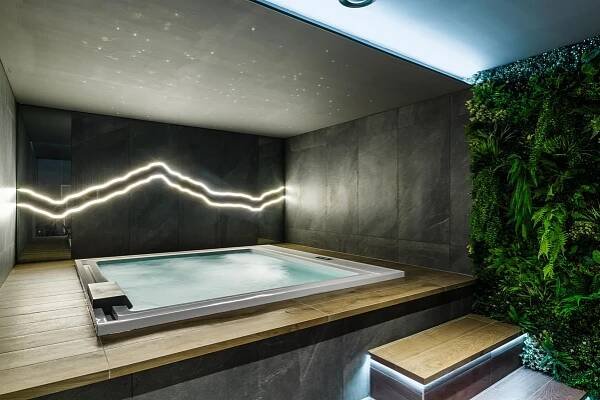 Krytý bazén Wellness hotel Svornost foto 3