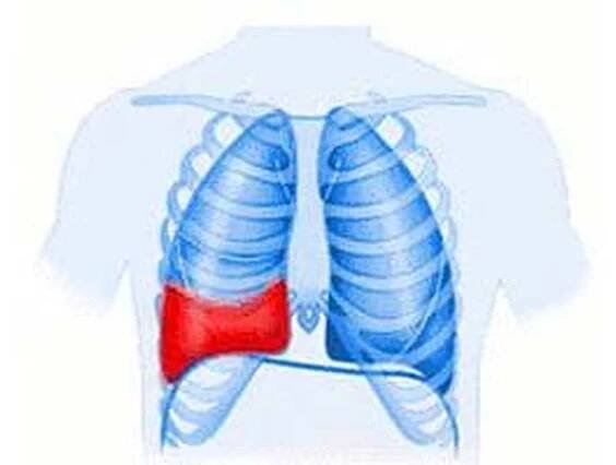 Příčiny, příznaky a léčba hemotoraxu / Hemothorax
