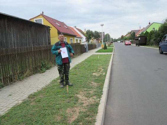 Výsadba nových stromů - Oficiální stránky města Vroutek