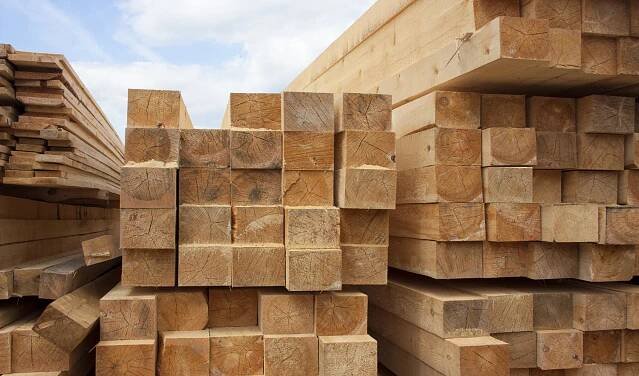 Humble Timber: The results