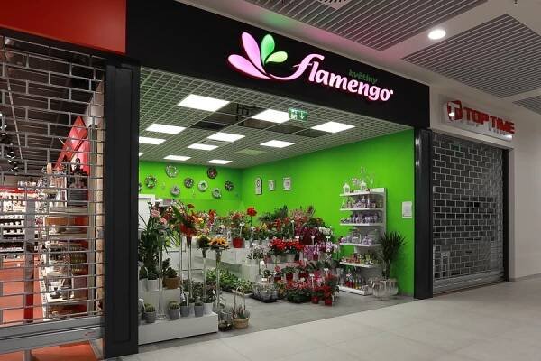 Flamengo květiny | Smetanova obchodní galerie Vsetín