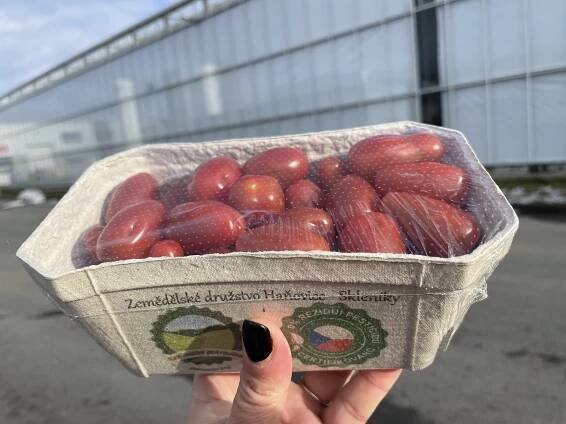 Nový experiment. Prodejní automat na cherry rajčata funguje 24 hodin denně
