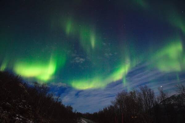 Aurora Borealis - WildlifeMoments.de