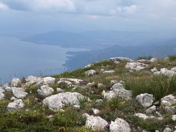 Eastern Alpine and Dinaric Society for Vegetation Ecology | 35th EADSVE Meeting – Ohrid 2013