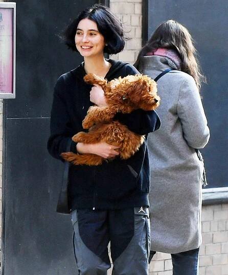 Meadow walker
