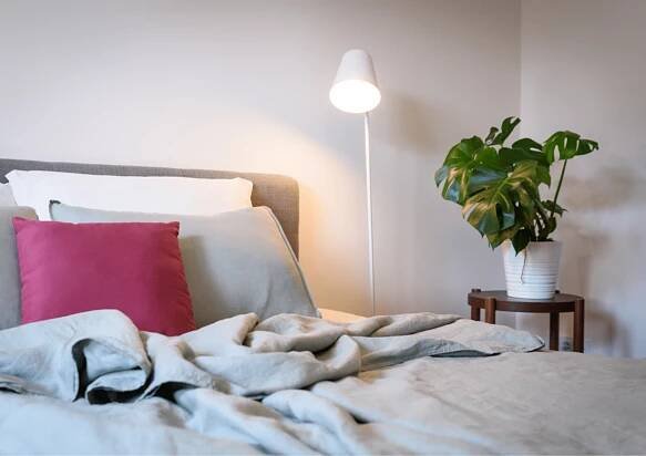 Feng Shui interier | Feng Shui tipy pro podzim