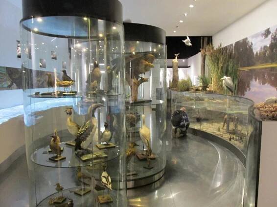 Jihočeské muzeum - Oficiální stránky Základní škola Benešov nad Černou