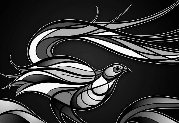 Lyrebird