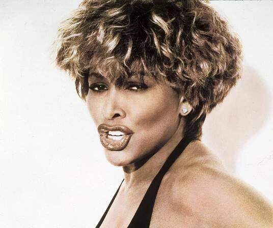 Vinyl Collector Tina Turner