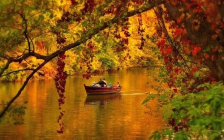 řeka, stromy, loď, lidé, podzimní krajina