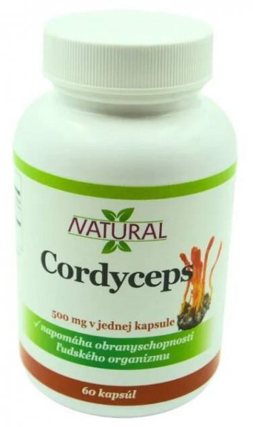 Cordyceps sinensis