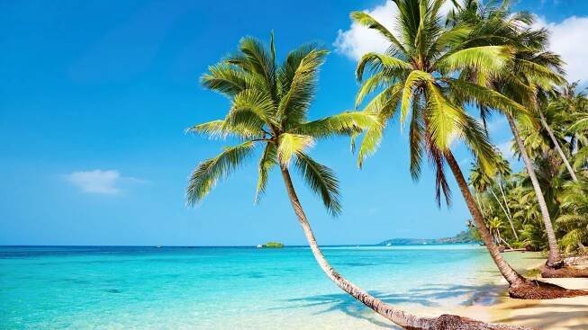 [300+] Tropical Beach Backgrounds