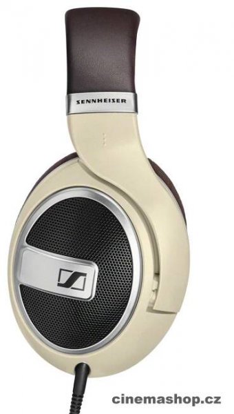 HD599.2.logo