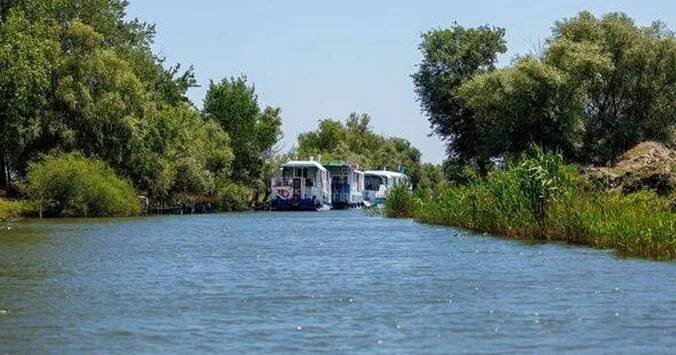 Huge European river cuts through 10 countries