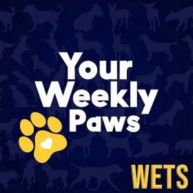 Your Weekly Paws