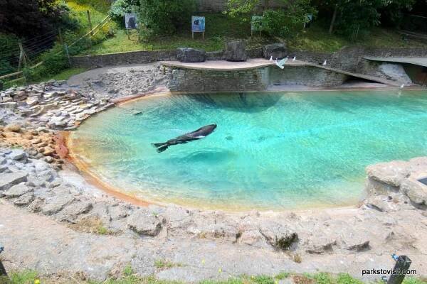 Dudley Zoo, Dudley – Parks to Visit
