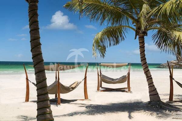 Dovolená a zájezdy Ajman Spojené arabské emiráty | New Travel.cz