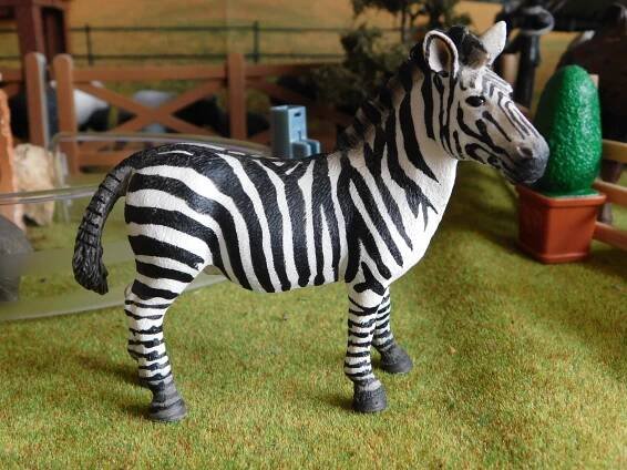 Zebry a divé kone - MINI ZOO LIFE