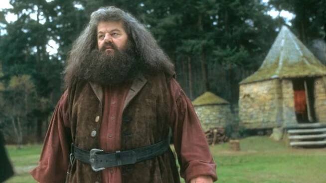 Herec Robbie Coltrane