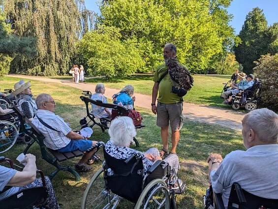 Sokolnické ukázky na státním zámku Sychrov | Alzheimer Home