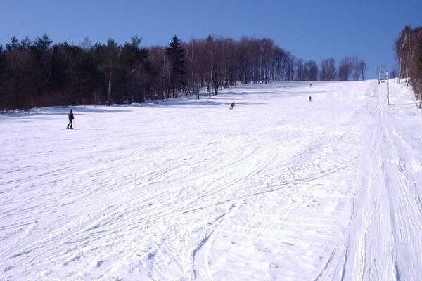 Ski Medvedie, Medvedie - Lyžařská střediska - Travelguide.sk