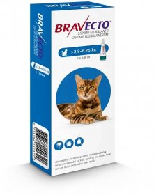 Bravecto S Cat 112,5 mg roztok pro nakapání na kůži - spot-on pro malé kočky (1,2 - 2,8 kg) - Cymedica.com