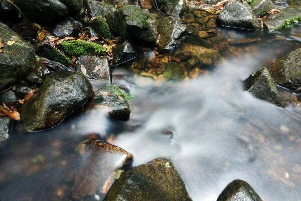 Základová fotografie na téma bazén, cákání, čeření, dopad pádu, dynamický, dynamika tekutin, fotografie, h2o, kamenný šplouch