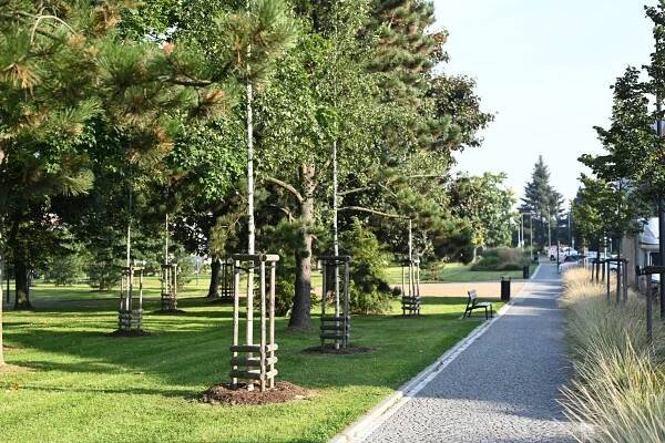 Park Stromovka v Humpolci | Park čtvrtstoletí