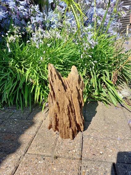 Driftwood Sculpture 47