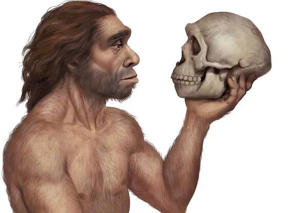 Neanderthal Holding Skull