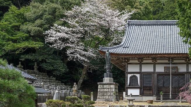 Obama, Japan: The Coastal Japanese Town Vying For Visitors Through a Consortium of Friendly Locals