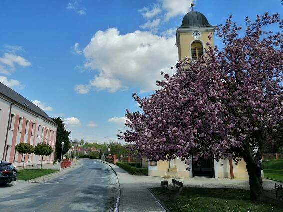Domanín (okres Hodonín)