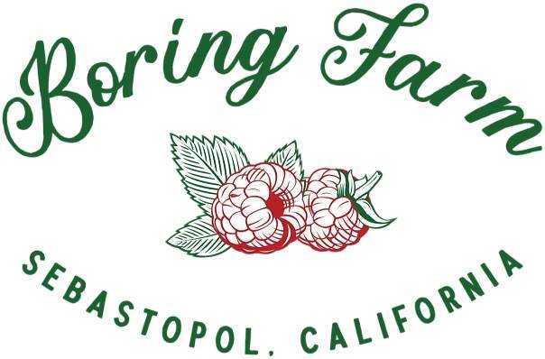 Organic U-Pick Raspberries | Sebastopol, CA