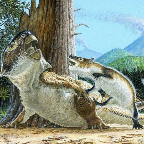 What dinosaur has 500 teeth? Inside the conveyer belt jaw of Nigersaurus | National Geographic