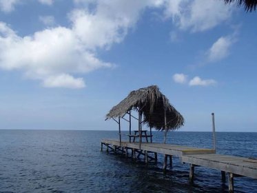 Freediving na ostrově Roatan - Honduras - Hlavní menu