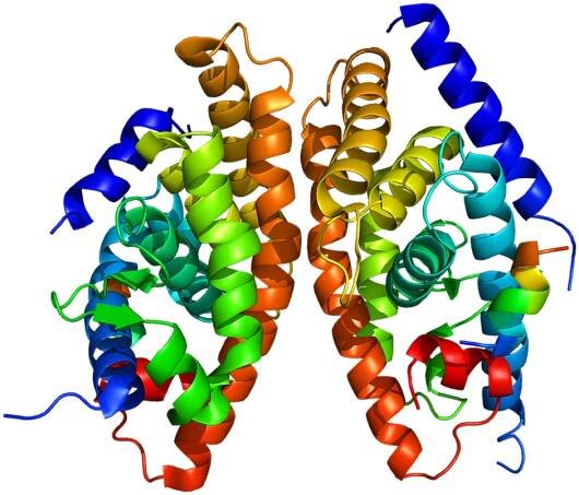 Liver X receptor alpha - Wikipedia