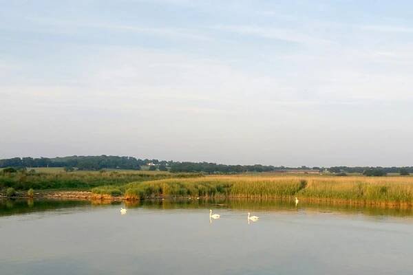 Arundel Alternative