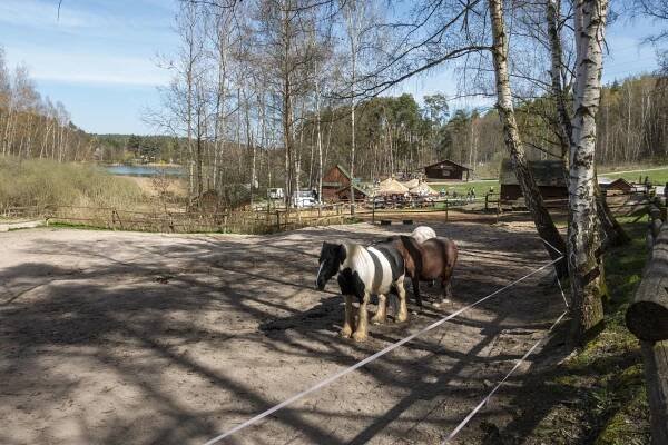 Fotografie - Ranč Šídlovák - Plzeň, Bolevec - 22.04.2023