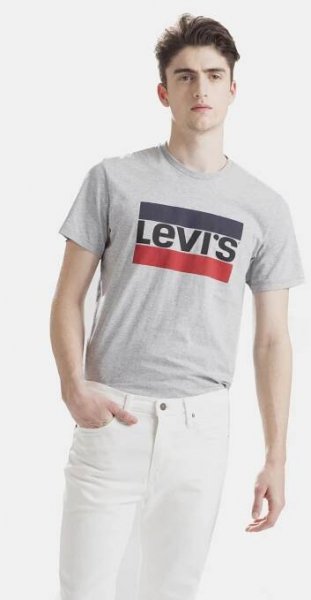 Levi's® Šedé pánské tričko s potiskem Levi's®