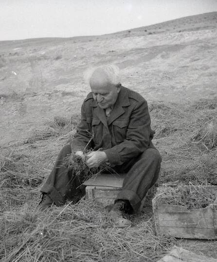 David Ben-Gurion - Wikipedia