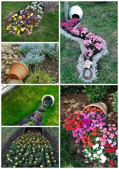several pictures of different flowers growing in the ground and on the ground, including one with a watering can