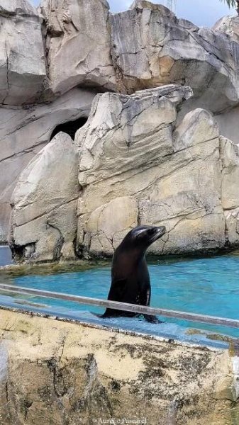 20 #ZOO #BEAUVAL #AURELIEPASCAREL